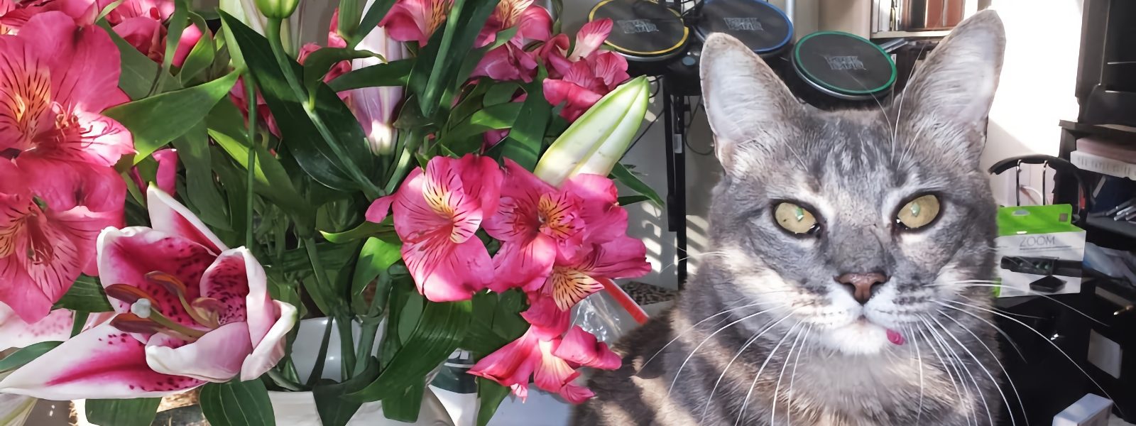 A cat sitting by a vase of flowers. The cat has a bit of petal on his lip.